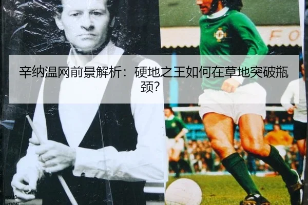 辛纳温网前景解析：硬地之王如何在草地突破瓶颈？